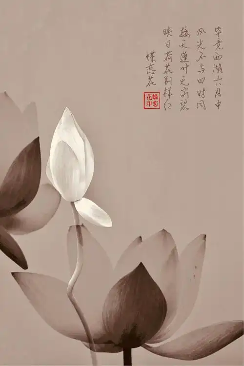 〈四〉禅意荷花