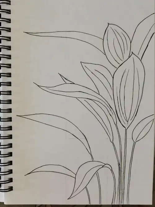 零基础自学画画临摹