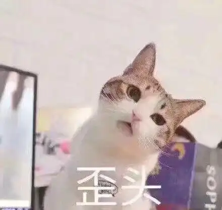 萌宠喵星人歪头看着你呆萌可爱gif动图_动态图_表情包下载_soogif