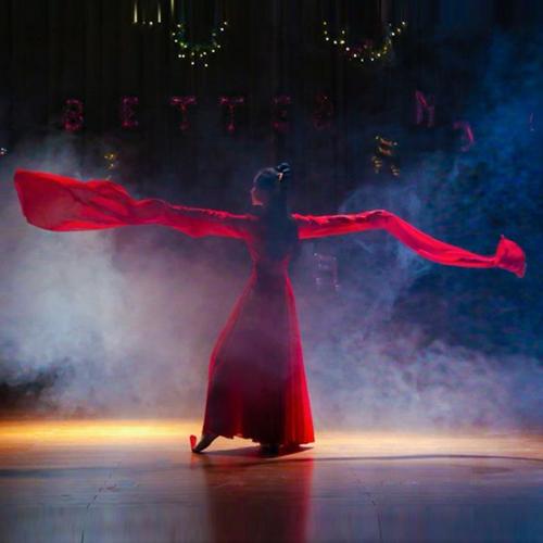 古典舞演出服女飘逸中国风水袖舞蹈红昭愿汉服裙仙女古装服装成人