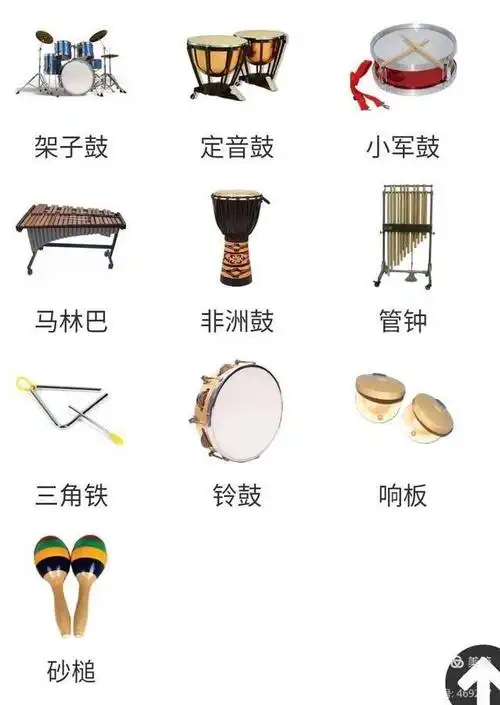 乐器大全名称及图片