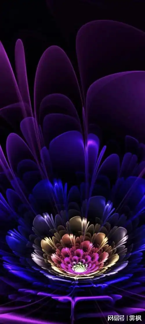 夜光之花壁纸,如此微弱的光芒抵得过黑夜的覆没吗_网易订阅