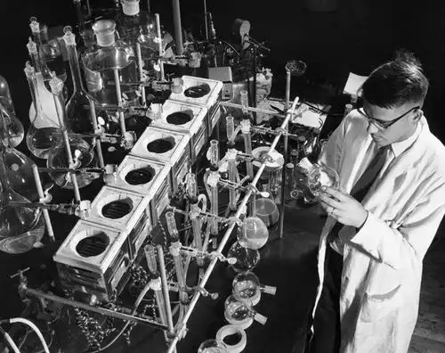 室内,欧洲,美国,欧洲人,仅一个男性,研究,科学,化学,眼镜,液体,实验室