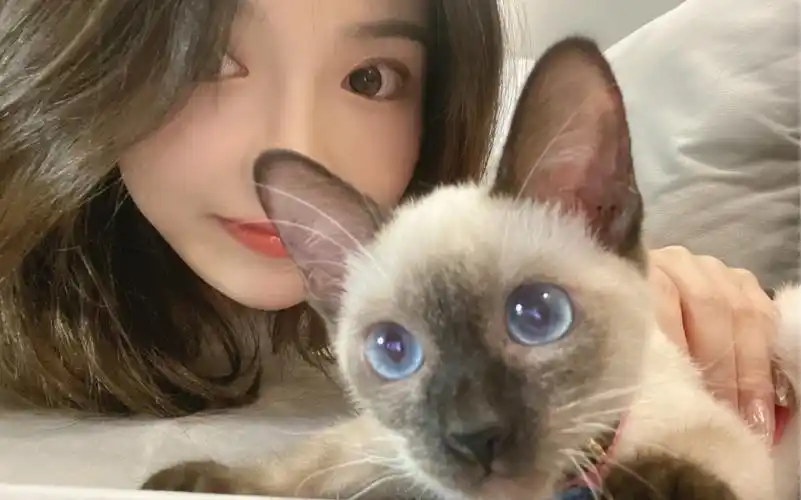 许杨玉琢|blve.cover_哔哩哔哩_bilibili