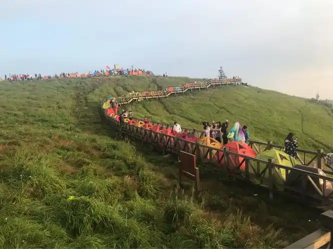 盛夏的高山草甸-武功山