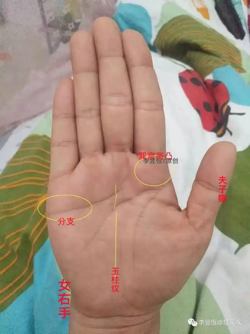 手相:凤眼纹在手,女人结婚后,容易旺夫!