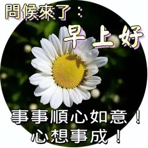 2022最新早上好表情包夏日酷暑高温一定要照顾好自己