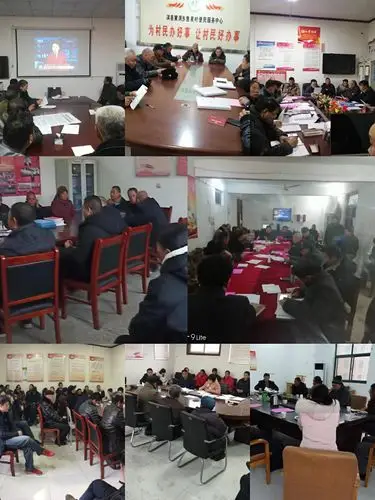 部分村党支部组织开展活动时的现场照片