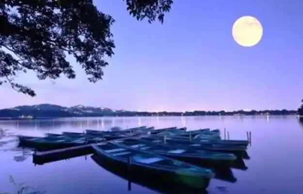 "平湖秋月"景观是指:每当清秋气爽,西湖湖面平静如镜,皎洁的秋月当空