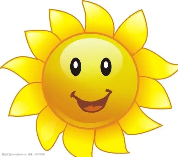 笑脸太阳花图片