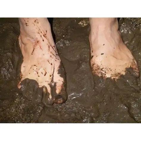光脚沼泽踩泥 - 搜狗英文
