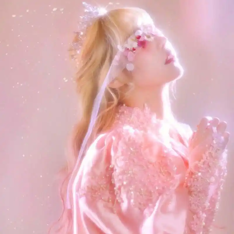 优质女生头像 头像#女生#复古#粉色系 (侵权 删)