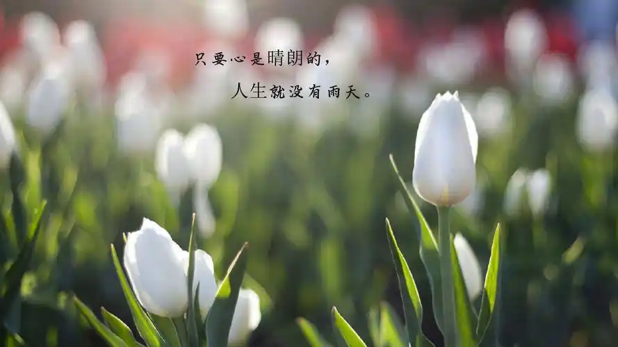 致自己唯美的励志说说配图