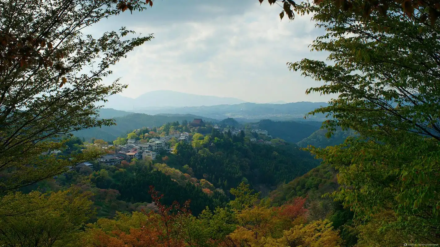 日本吉野山世界最美24小时旅游胜地壁纸高清大图预览1920x1080_风景