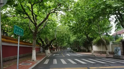 高清:青岛有条大学路 郁郁葱葱颇有文艺范儿