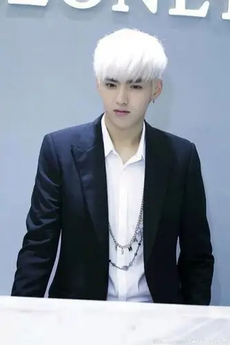 exo里面有两个染白头发的是谁?