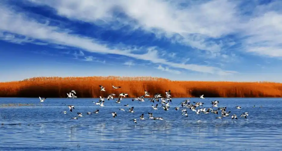阿左旗巴彦浩特镇→阿左旗腾格里沙漠天鹅湖生态旅游区(4a)→阿拉善