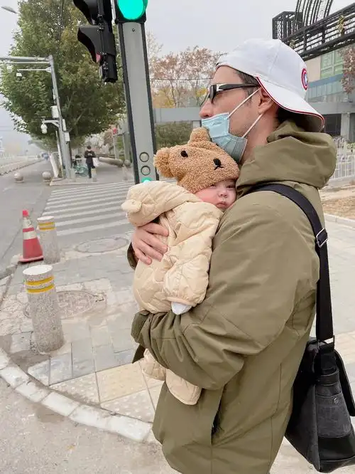 路上偶遇一只树袋熊