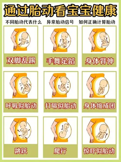 孕妈一定要知道的胎动常识胎动异常表现60