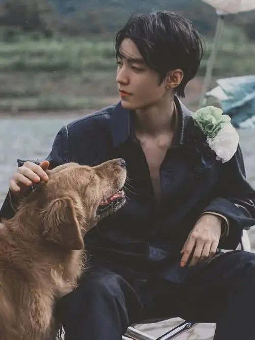 王俊凯王俊凯的一些很心动的图片壁纸