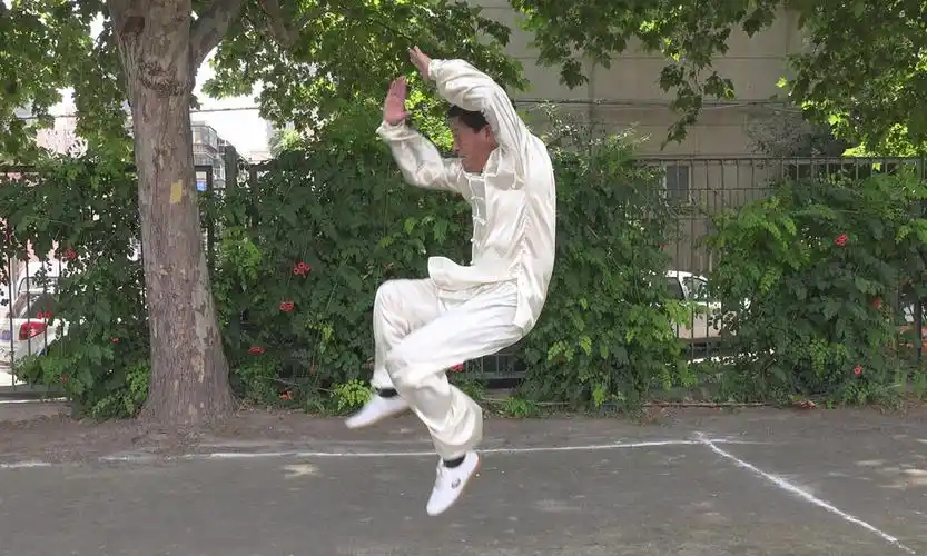 腾空飞脚(二起脚)