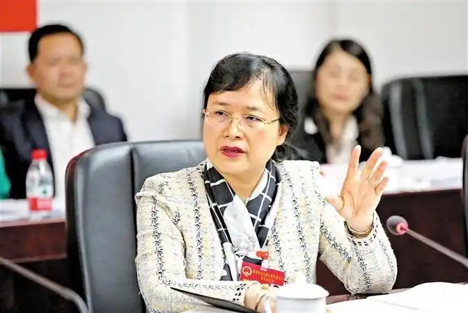 杜玲:抢抓机遇为全市经济社会发展作出应有贡献