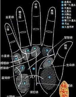 手上的痣的位置与命运图解女右手