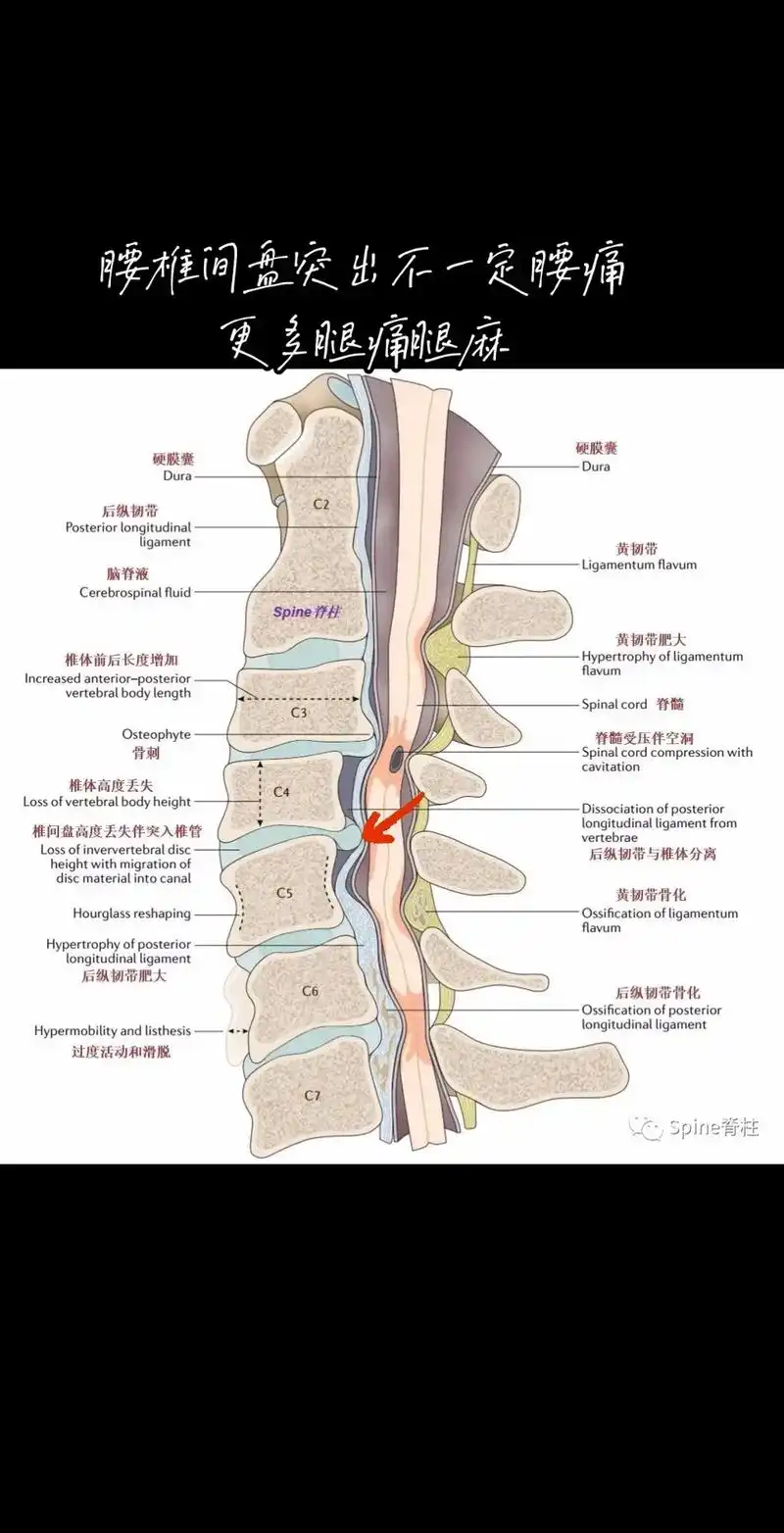 命运的齿轮开始转动 #人体结构 #腰椎间 - 抖音