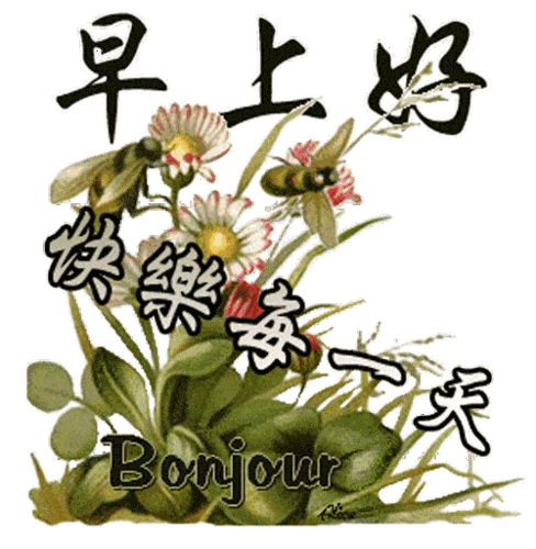 11月新版早上好动态图片带字早安温馨问候语送给大家