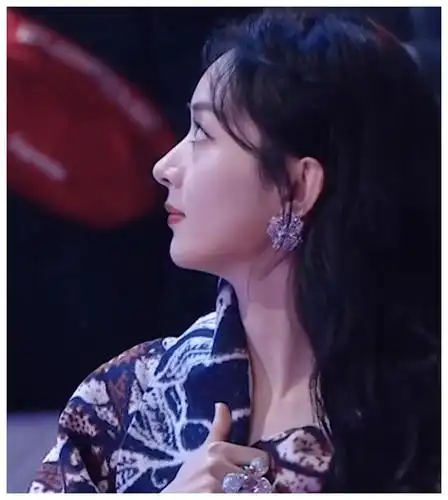 赵丽颖鼻子有多么上镜?星光大赏同框杨幂,细看侧脸就全明白了|赵丽颖|