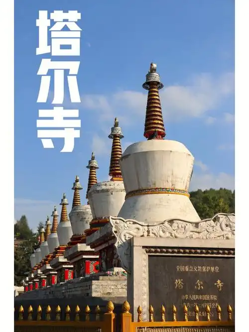 青海西宁今天去塔尔寺啦见到了辩经现场