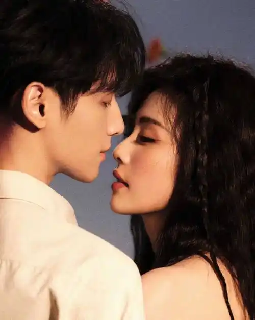 白鹿和罗云熙的亲密写真赏析,网友:业内最佳cp!_照片_互动_合作