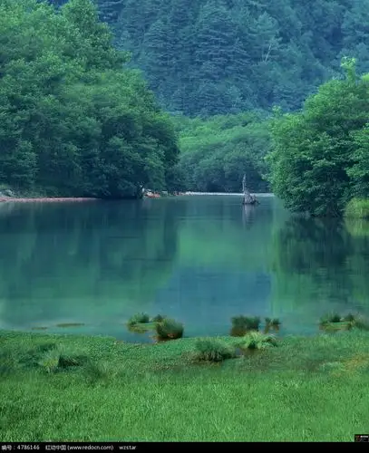 绿水青山就是金山银山用英语怎么说