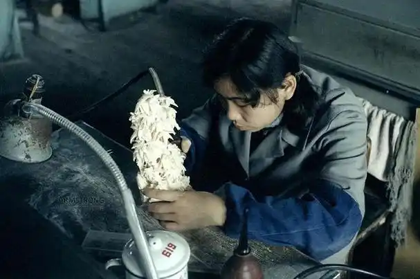 51岁大姐被下药迷晕被迫发生关系事后发现男子不是自己老公