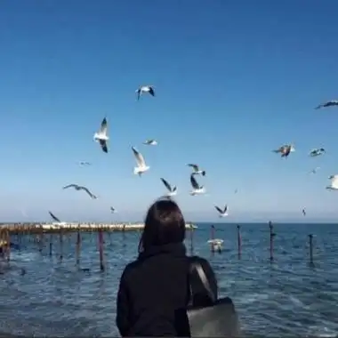 看海头像图片女 唯美看海头像图片女