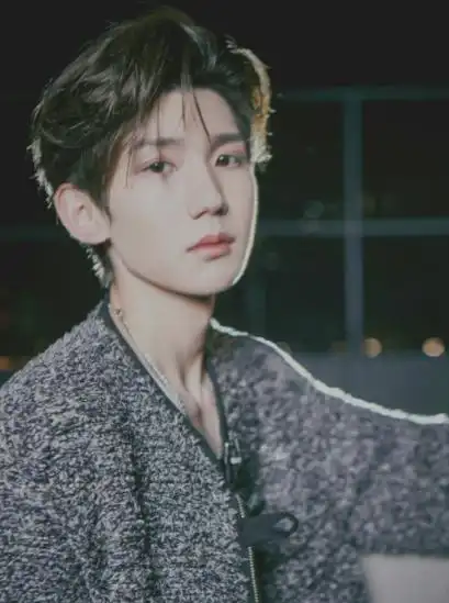 tfboys王源个人资料(歌手王源年少成名背后的喜与忧) - 65路由网
