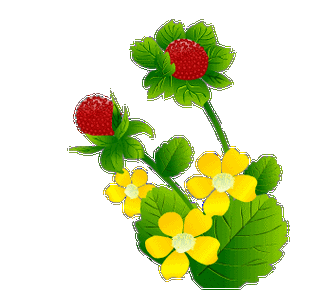 350_308gif 动态图 动图