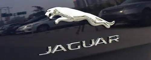 一个豹子的标志是什么车豹子车标是什么车价位