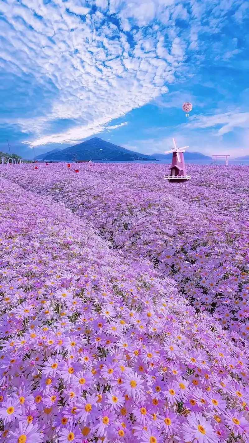 治愈系风景 #唯美意境 #粉色花海 #一起享受大自然的美  - 抖音