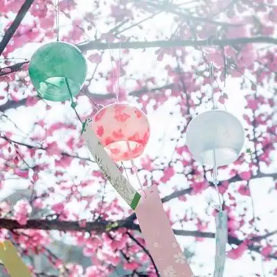 江户风铃生日礼品图片