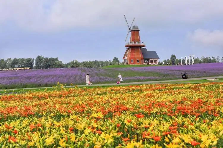 只开放3个月,却投入巨资,打造哈尔滨最美的花园,理由因为爱情