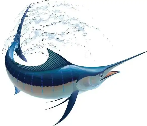 黄剑鱼(黄剑鱼简介)