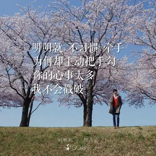 周杰伦明明就qq音乐歌词海报