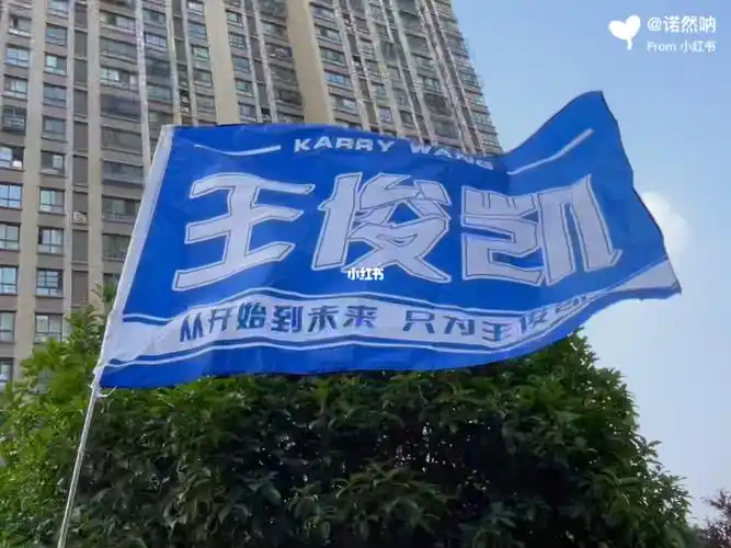 拜托为王俊凯举大旗超酷的好吧