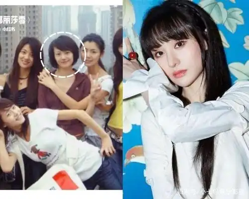 明星出道前对比3:郑爽