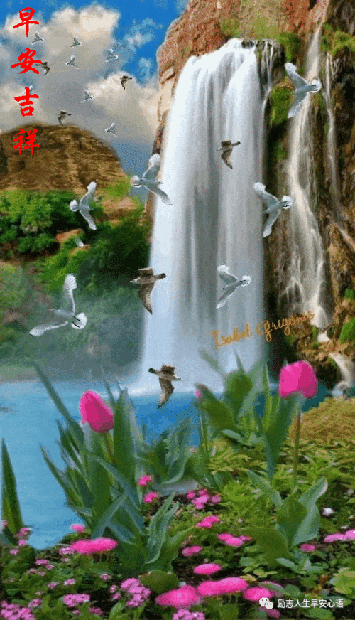 557_971竖版 竖屏gif 动态图 动图