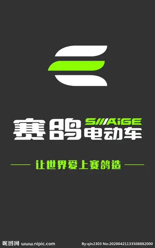赛鸽电动车图片