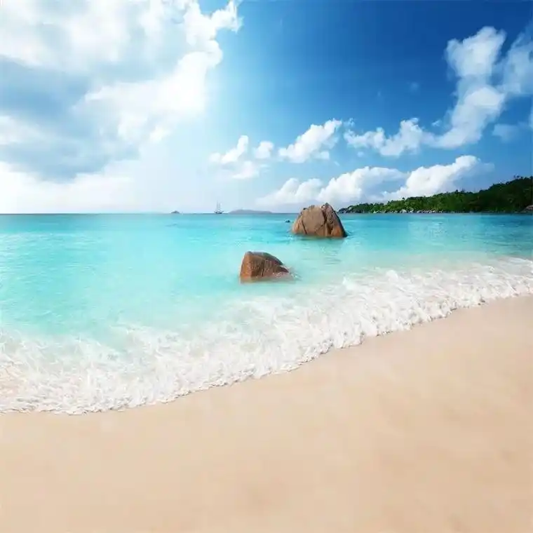 海景风景网红主播背景布直播大海沙滩布快手抖音yy外景布3d背 - 抖音