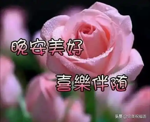 晚安温馨句子图片大全正能量情人晚安温馨句子图片大全