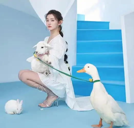 蒋依依拍写真不小心被绊倒,当她"双膝跪地"时,说不心疼是假的